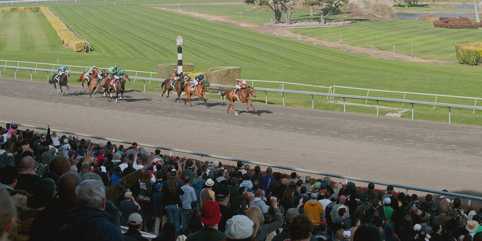 Golden Gate Fields Gambling Age