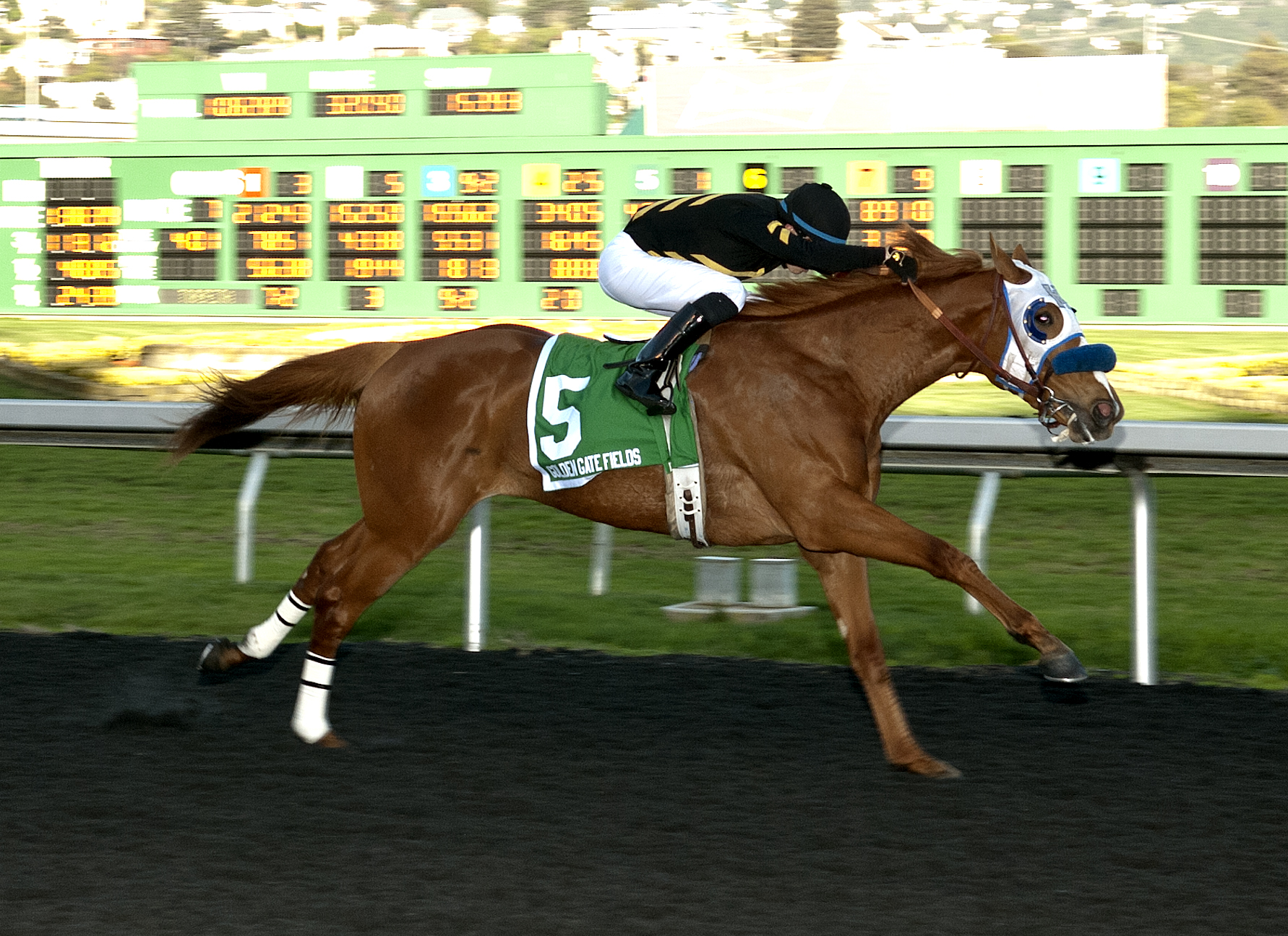 Choo Choo Cruises In The California Derby – Golden Gate Fields